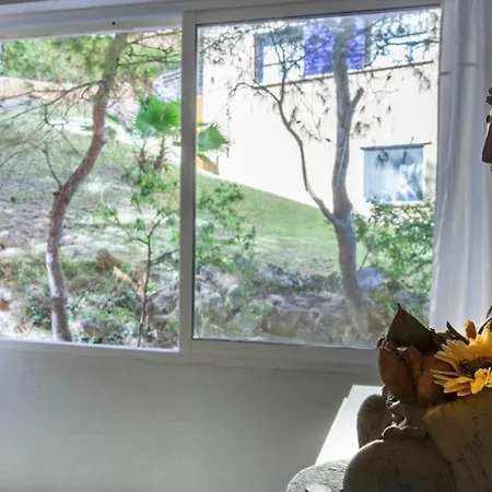 Sunny Seaview Apartment